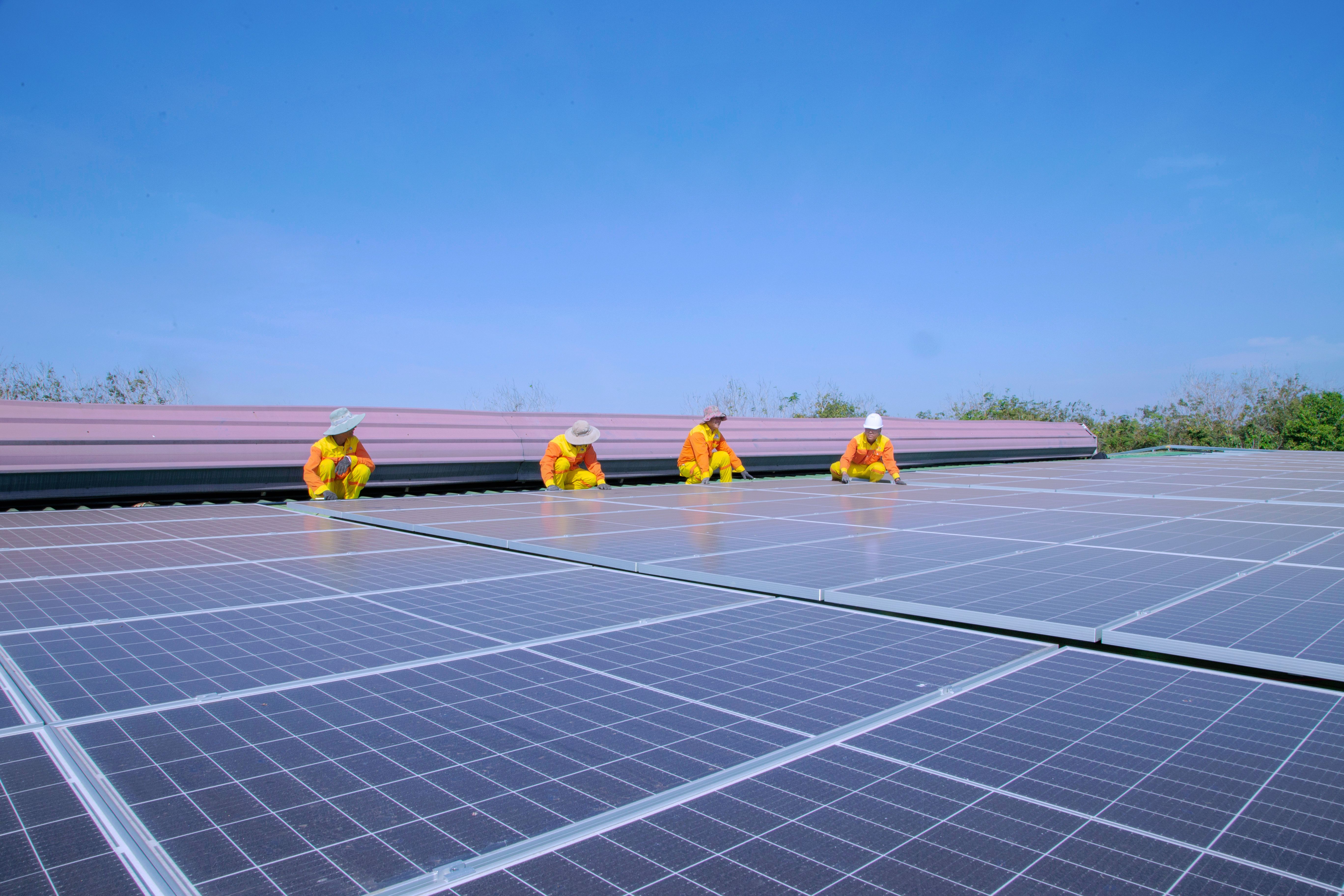 Solar Panel Cleaning Guide
