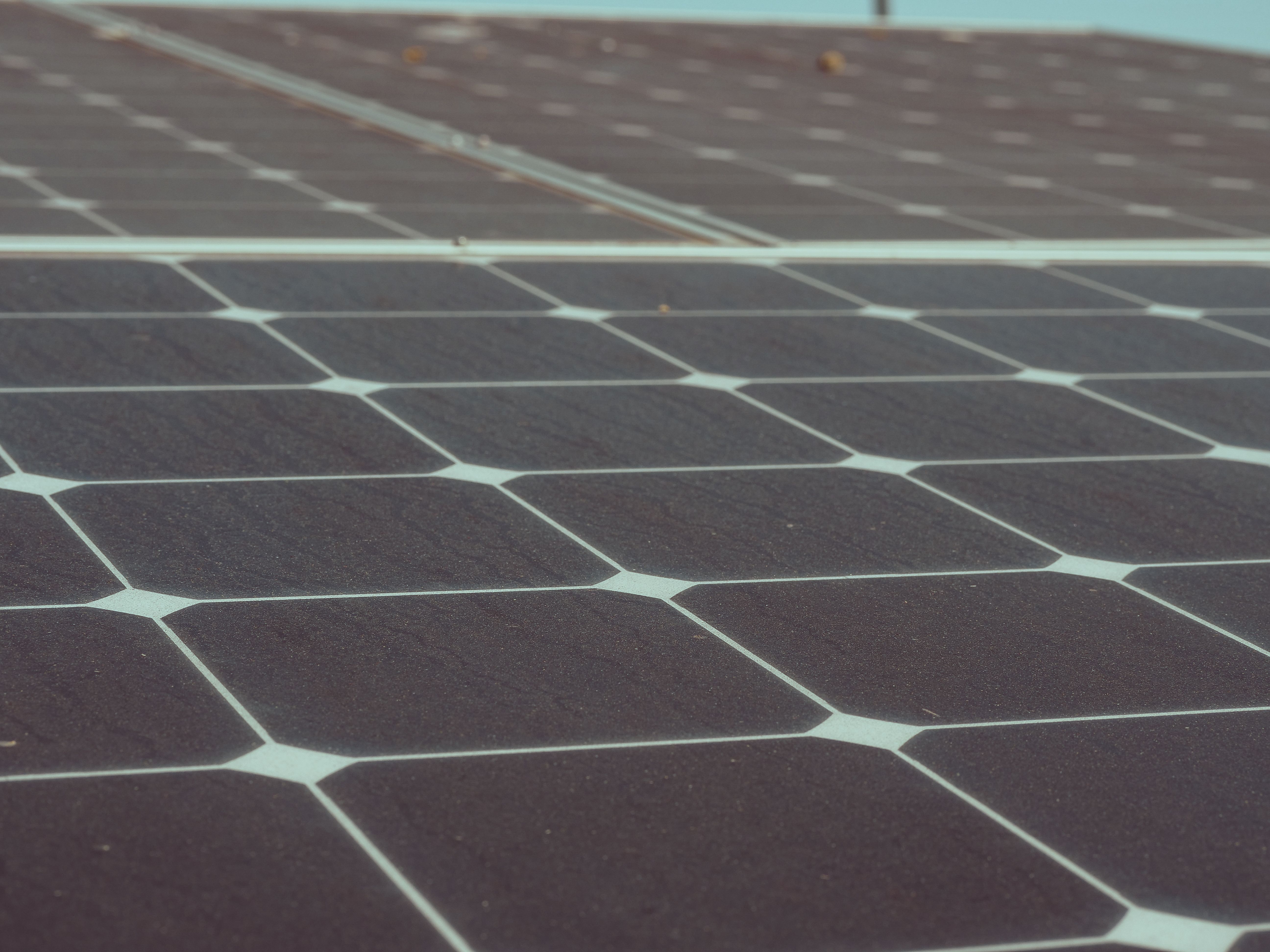 How to Spot Fake Jinko Solar Panels